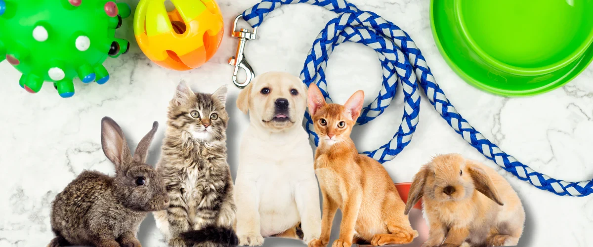 Consigli per la Cura degli Animali: Migliori Accessori e Nutrizione per i Tuoi Amici Pelosi