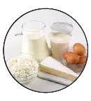 Latticini, salumi e formaggi